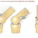 고 피트니스 부산역점 이미지
