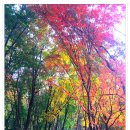 배산공원 이미지