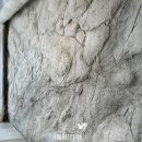 (주)와일드스톤 | 🐟 청담동 오마카세 암석(스톤)미장 시공,견적공개, 딥블랙 그레이톤으로 와일드하게 표현했어요!