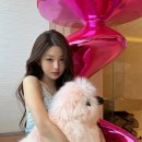 가득家가