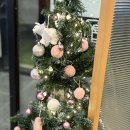 바른초밥 학동점 이미지