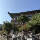 금강사금강유치원 이미지