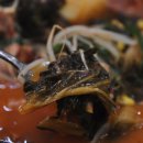 서울감자탕 이미지