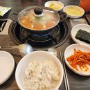 월수금통돼지 이미지