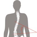 넘버원척추골반교정센터 이미지