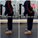 허리 통증을 개선하는 방법: 흉추 가동성 운동