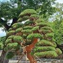 세븐일레븐(창원외동점) 이미지