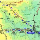 장*성 - 미추홀구 낙섬동로 9 | 장*성