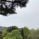 도성집 - 고양시 덕양구 | 도성집