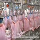 청솔물류유통 이미지