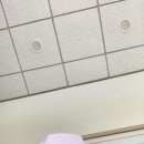 그린전자 | [그린크루 3기] 수원 삼성전자 견학 후기