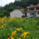 들꽃팬션 앞 이미지