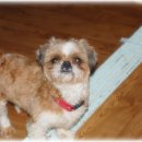 인천신월초등학교 이미지