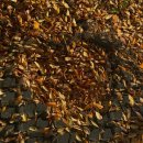 씨유 당산하늘점 | 청주 여행 코스