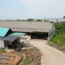 용지일등공인중개사사무소 이미지