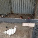 한우드림 이미지