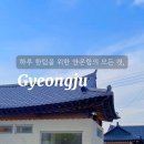 스테이 희재 이미지