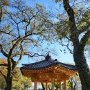 악양시장 이미지