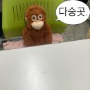 플레르꽃예술학원