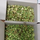 ﻿개다래열매 개다래즙 개다래판매사진-개다래효능 복용법 주의사항-통풍치료법안내서 동봉- 이미지