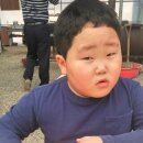그린마트식육