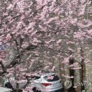 중국·서풍 탓 서울 미세먼지 연일 '매우나쁨'..부산은 '보통' 이미지