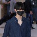 청청 이미지