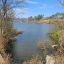 용성좌대 이미지