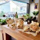 장유힐링지압원 이미지