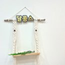 달콩스 케이크 | 달콩스 케이크 원데이 베이킹 후기 (코코넛 비스코티& 오렌지 케이크)