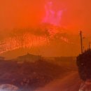 영덕중앙체육관 이미지