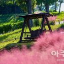 안성천 둔치공원 2 이미지