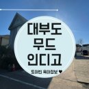 대부도 풀빌라 무드인디고 가족여행 키즈펜션 후기