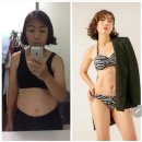 하프사이즈