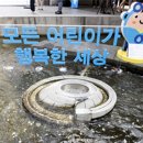 석담 이미지