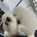 섬지캠핑장 | 구례 섬지캠핑장 소나무2번 사이트 이용 후기 (나기복 캠핑일기)