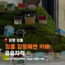 강릉 강문해변 카페 유유자적 유리공예 체험 가능한 옥수수라떼가 맛있는 곳
