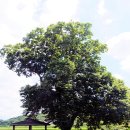 둥구리마을 이미지