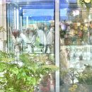 [내돈내산] 분당 서현역 꽃집 플라젠트