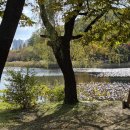 크림스테어에스프레소 | 주말 일산 호수 공원 데이트코스/ 올댓커피/에스프레소 맛집/업스테어키친 밤리단길점/스테이크 맛집