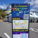 하원초등학교 | 서귀포과학문화축전 후기.별빛 놀이터에서 놀다 갑서.서귀포천문과학문화관.제주 축제 리뷰.