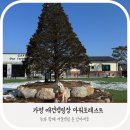감 이야기 캠핑장 | 강아지와 프라이빗 캠핑!가평 아워포레스트 애견캠핑장 솔직 후기