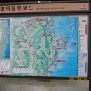 영덕블루로드 이미지