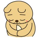 쇼크 수완점 이미지