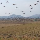 순천만여행 | 순천만 당일여행후기