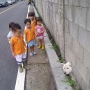 넌 이미지