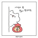 데일리조이