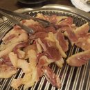 강북오리박사 이미지