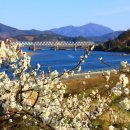 섬진강호텔 이미지