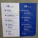 부산 해양자연사박물관 무료 어린이 체험 부산 가볼 만한 곳 추천 후기